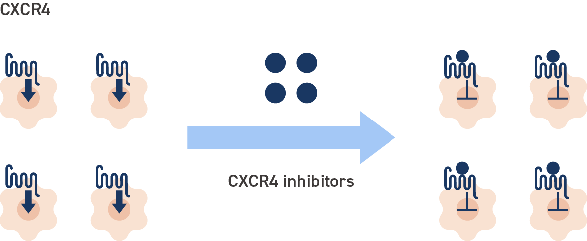 CXCR4