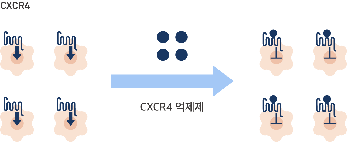 CXCR4