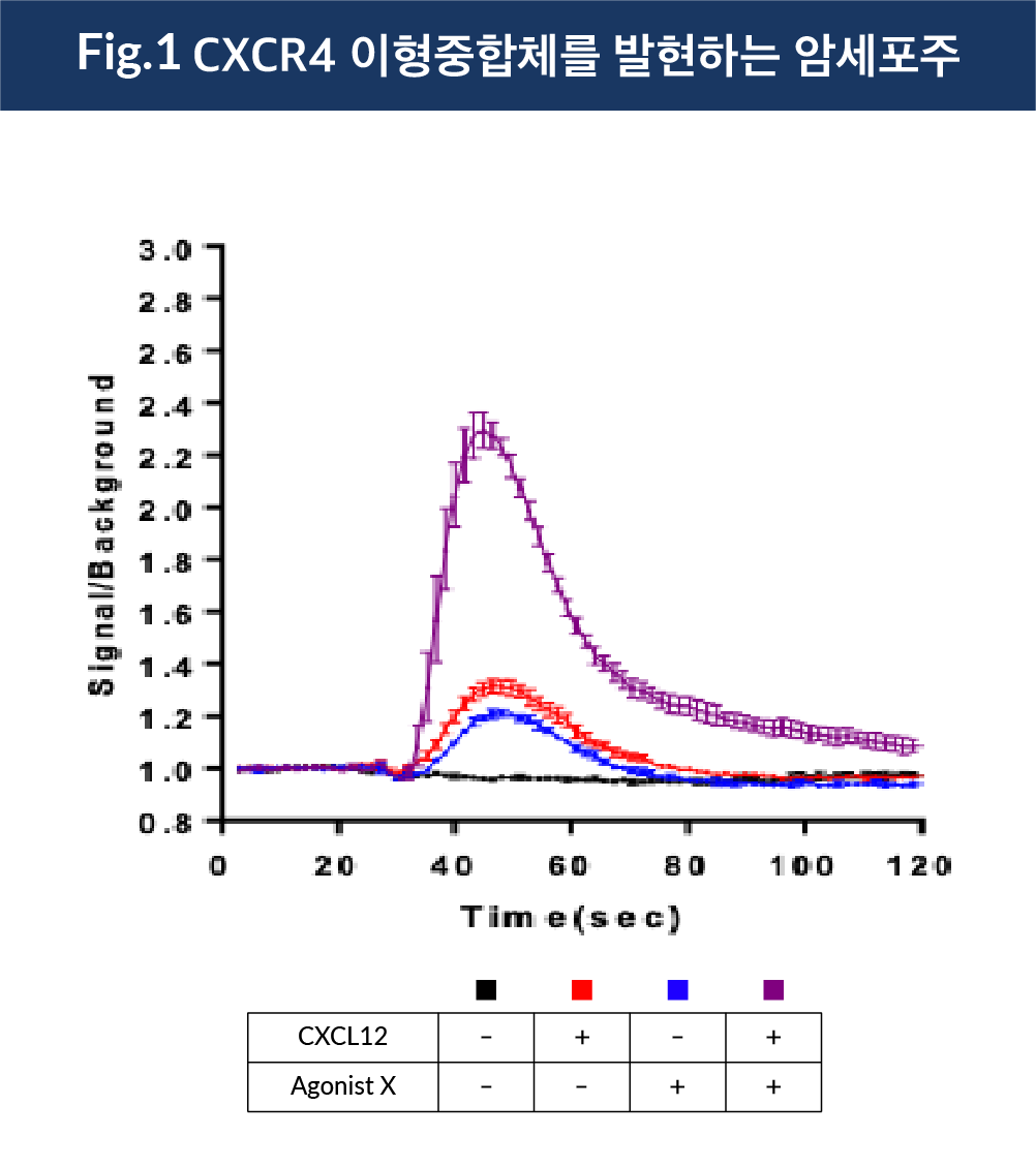 CXCR4 heteromers CXCR4 heteromers