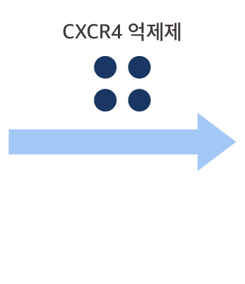 CXCR4 heteromers