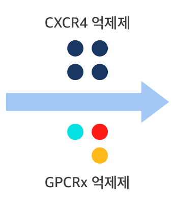 CXCR4 heteromers