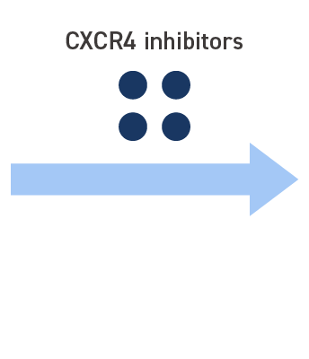 CXCR4 heteromers CXCR4 heteromers