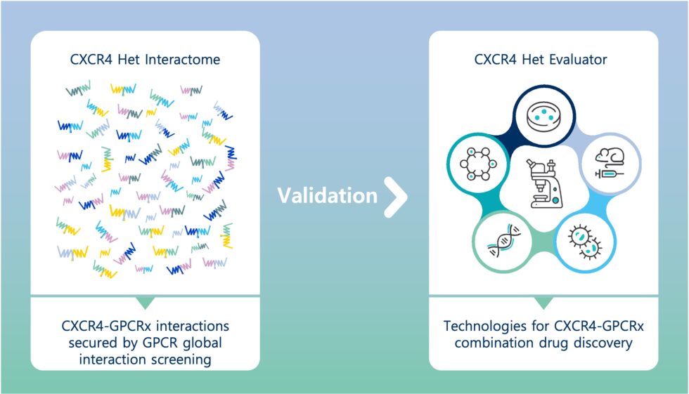 Drug Discovery Platform|gpcr Therapeutics